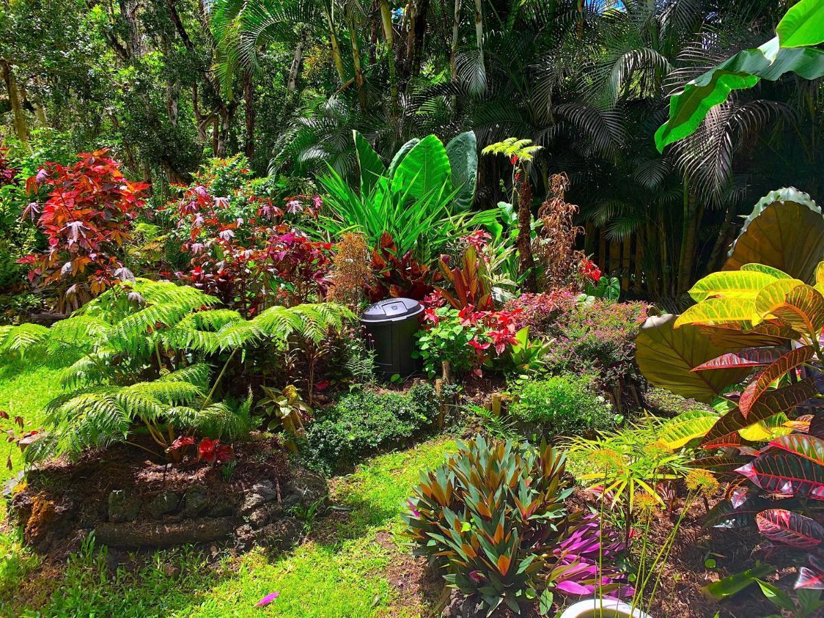 Phoenix Garden Pahoa Εξωτερικό φωτογραφία
