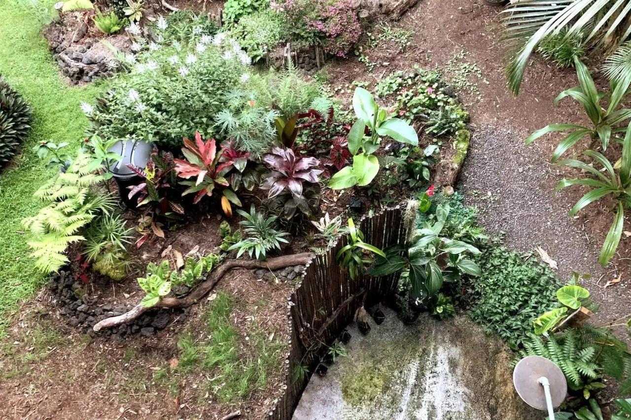 Phoenix Garden Pahoa Εξωτερικό φωτογραφία