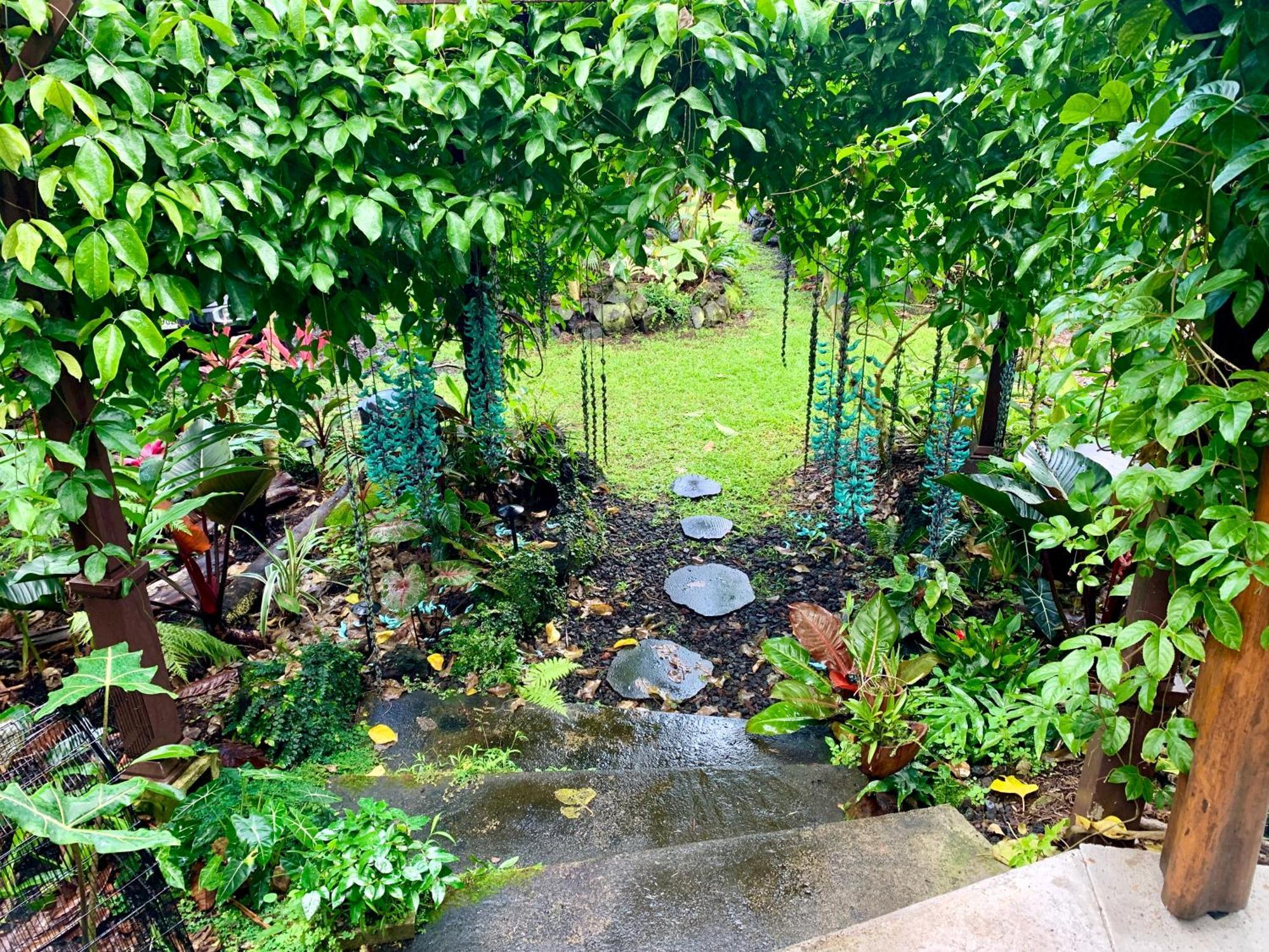 Phoenix Garden Pahoa Εξωτερικό φωτογραφία